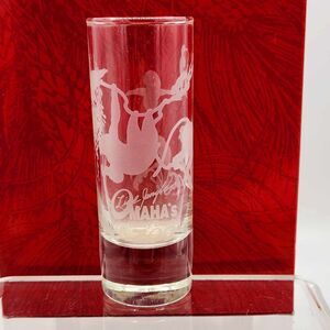 Omaha's Henry Doorly Zoo Tall Etched Glass Shot Glass Collectible Souvenir